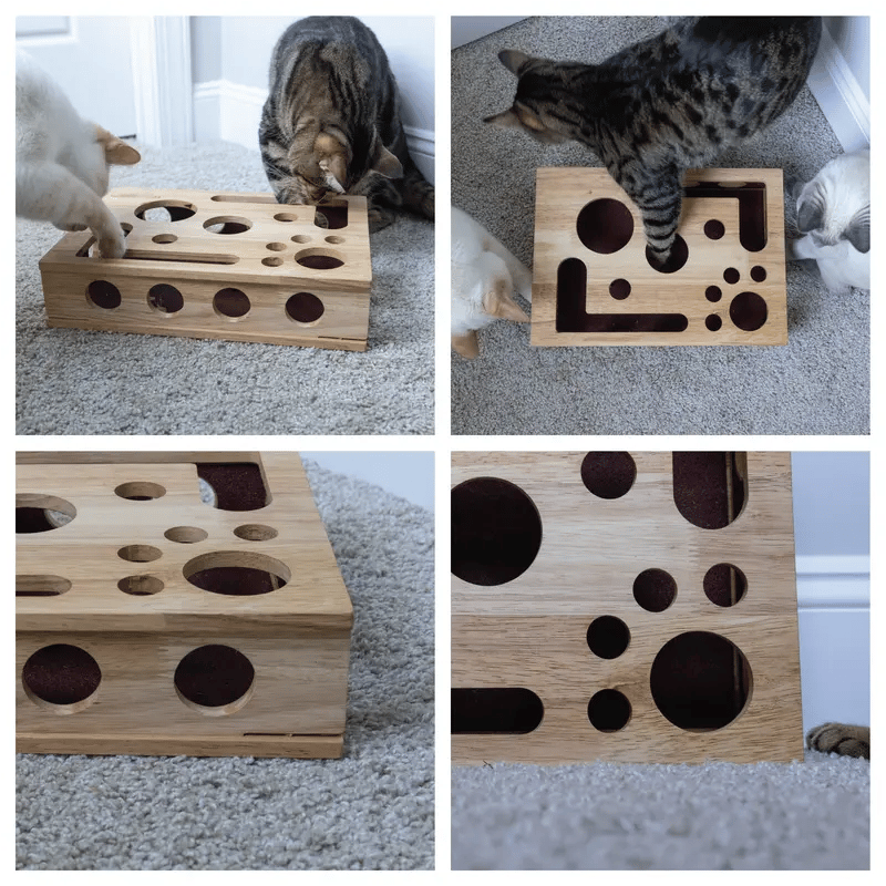 Wooden cat puzzle box – Activity with treats & natural claw care