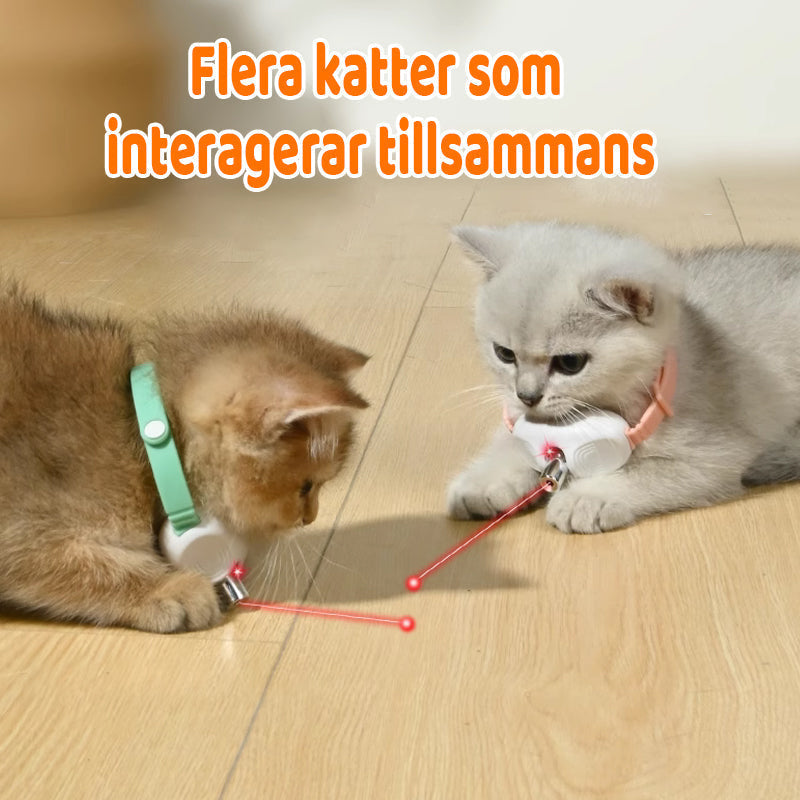 Laser pointer collar with USB charging for cats