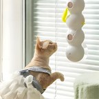Interaktives Katzen-Wandspielzeug mit Bewegung -   Mivoza Deutschland