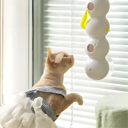 Interaktives Katzen-Wandspielzeug mit Bewegung -   Mivoza Deutschland