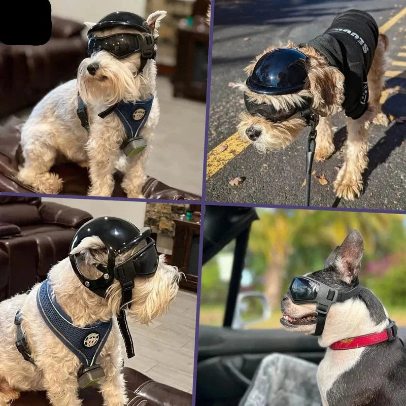 Hundehelm mit Schutzbrille – verstellbares Set