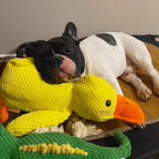 Dog Toy Duck with Squeaker Function