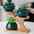 3-tier bamboo plant stand – Tree-shaped display for houseplants