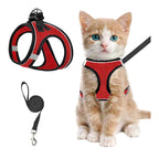 Katzengeschirr mit Luftnetz und Reflektoren