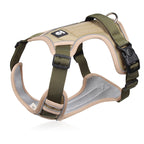 Hundegeschirr Set mit LED-Halsband – Anti-Zieh Design