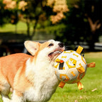 Hundespielzeug Fußball aufblasbar mit Bändern