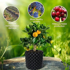 Root guide system plastic 20x20 cm – Prevents root rot