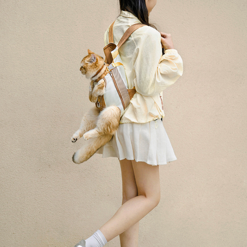 Cat backpack carrier with viewing window