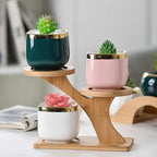 3-tier bamboo plant stand – Tree-shaped display for houseplants