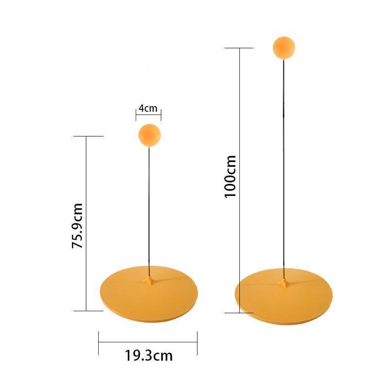 Tischtennisset mit flexiblem Trainingsarm
