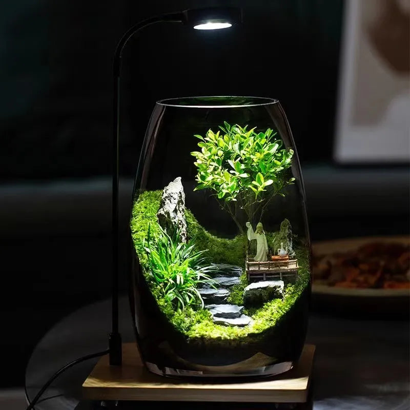 Moos-Terrarium mit Miniaturlandschaft im Glas