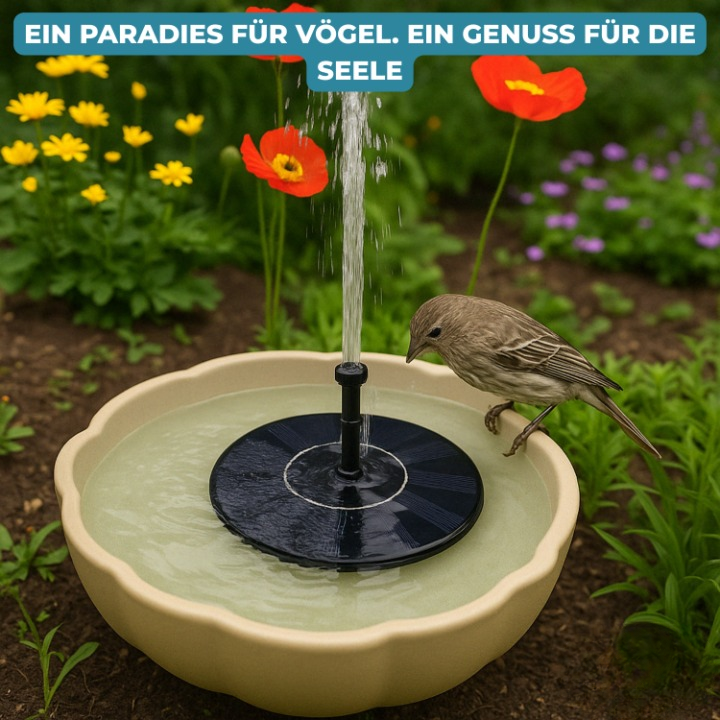 Solar fountain with 4 nozzles for birdbath and pond