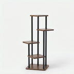 Studio collection image