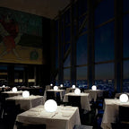 Waterproof LED Globe Light with Color Change