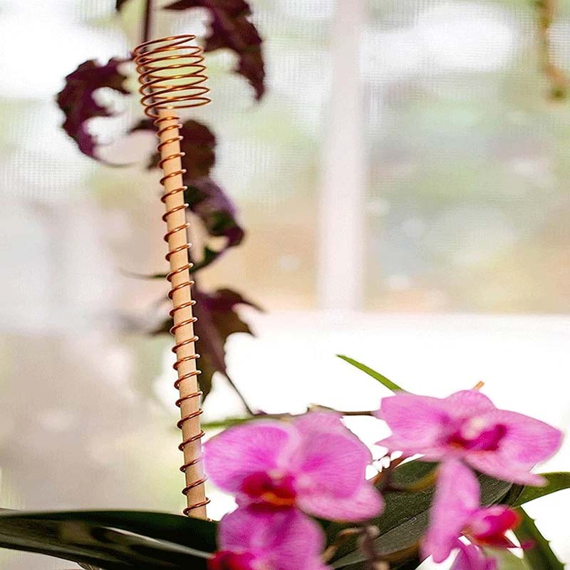 Copper plant stakes 30 cm for natural plant strengthening