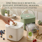 Ice cube tray with lid and storage box