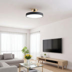 Round LED ceiling light with brass fitting, Ø 30 cm