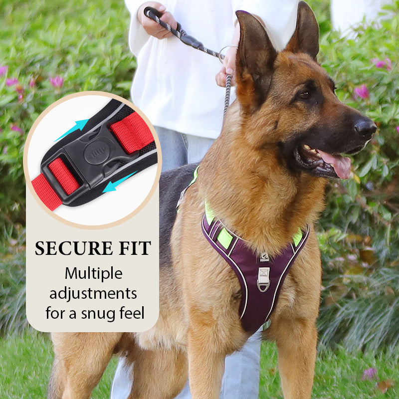 Hundegeschirr Set mit LED-Halsband – Anti-Zieh Design