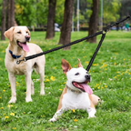 Double leash with 360° swivel – Never tangles again