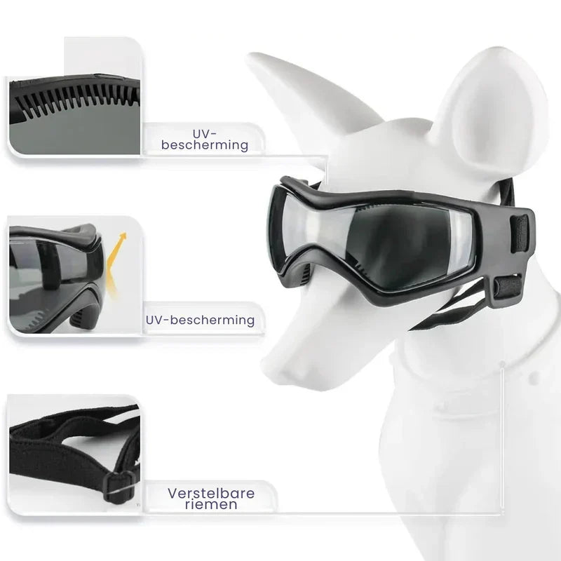 Hundehelm mit Schutzbrille – verstellbares Set