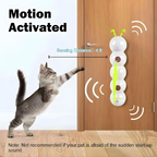 Interaktives Katzen-Wandspielzeug mit Bewegung -   Mivoza Deutschland