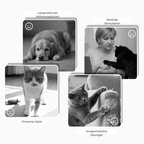Interaktives Plüsch-Hundespielzeug mit Quietscher – Versteck-Puzzle für Leckerchen