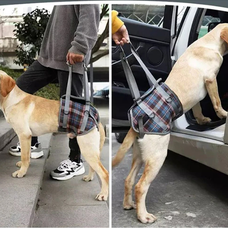 Orthopädische Hundegeschirr Hinterbeine – Gehhilfe für ältere Hunde
