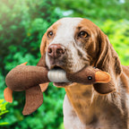 Durable dog toy duck with squeaker