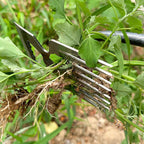 Stainless steel weed remover with ergonomic handle