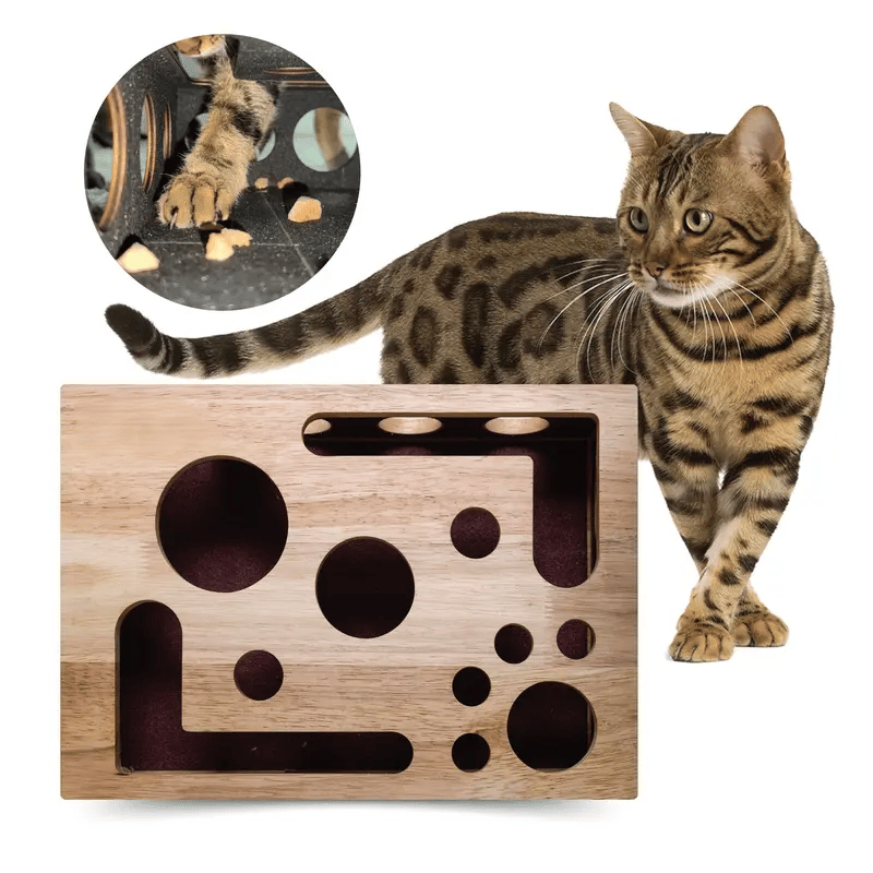 Wooden cat puzzle box – Activity with treats & natural claw care