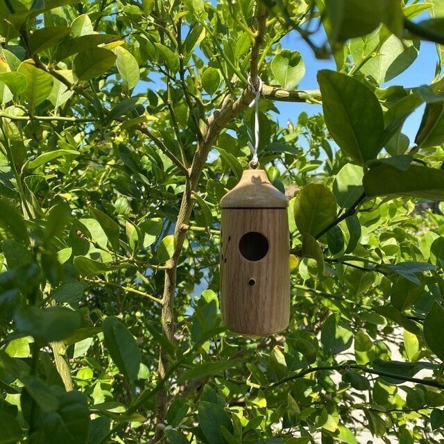 Kolibri-Futterhaus Holz mit Naturmotiv – 13 cm hoch, wetterfest