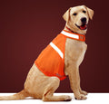 Reflective Safety Vest for Dogs – High Visibility for Evening Walks