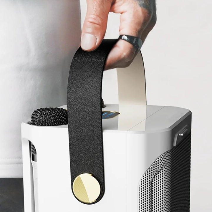 Bluetooth karaoke speaker with 2 microphones