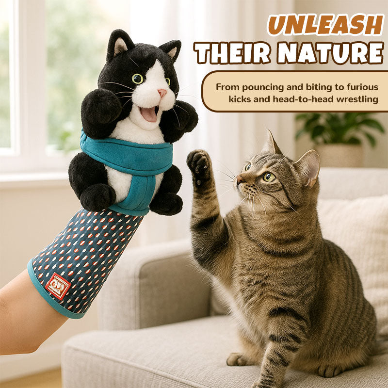 Cat Glove with Plush Toy – Play Without Scratches