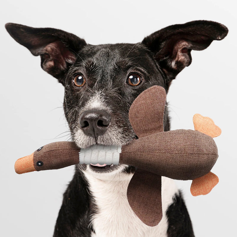 Durable dog toy duck with squeaker