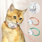 Laser pointer collar with USB charging for cats