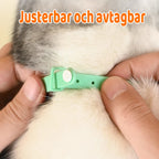 Laser pointer collar with USB charging for cats