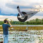 Fernglas 8x35 für Vogelbeobachtung und Outdoor-Abenteuer