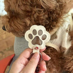Leather paw keychain with storage compartment