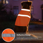 Reflective Safety Vest for Dogs – High Visibility for Evening Walks