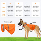 Reflective Safety Vest for Dogs – High Visibility for Evening Walks