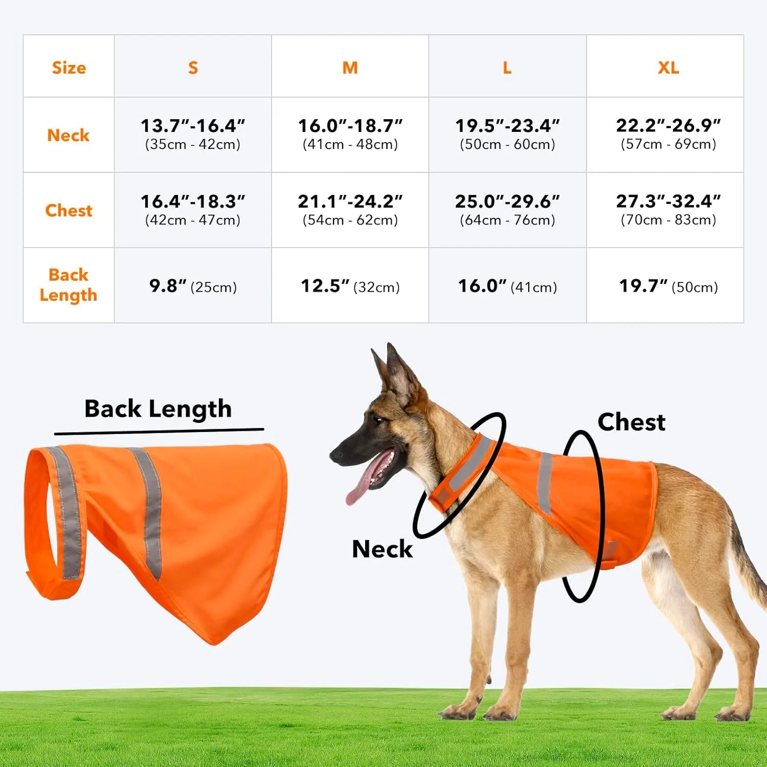 Reflective Safety Vest for Dogs – High Visibility for Evening Walks