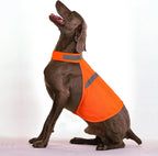Reflective Safety Vest for Dogs – High Visibility for Evening Walks