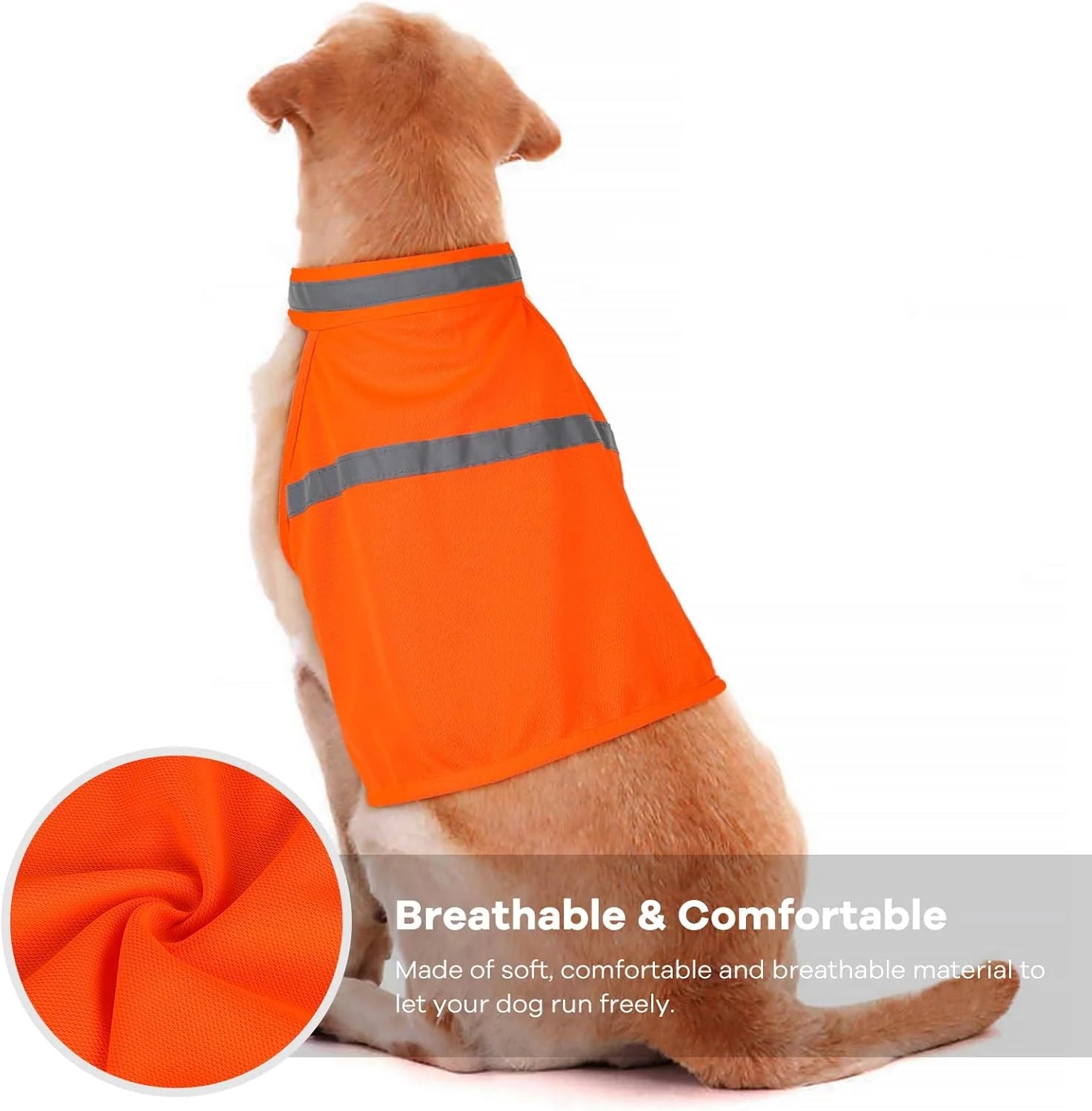 Reflective Safety Vest for Dogs – High Visibility for Evening Walks