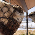 Herzförmiger Halter für Vogelnestmaterial mit Aufhängekette