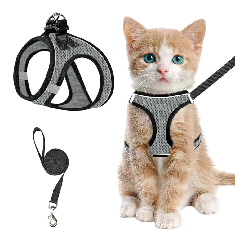 Katzengeschirr mit Luftnetz und Reflektoren
