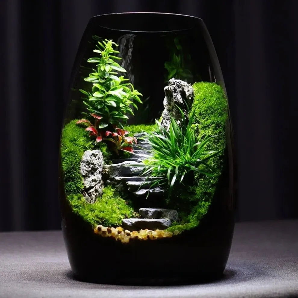 Moos-Terrarium mit Miniaturlandschaft im Glas