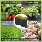 Pflanztaschen aus Filzstoff für Garten und Balkon