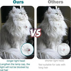 Automatic Laser Play Collar for Cats – Active Even Without Supervision