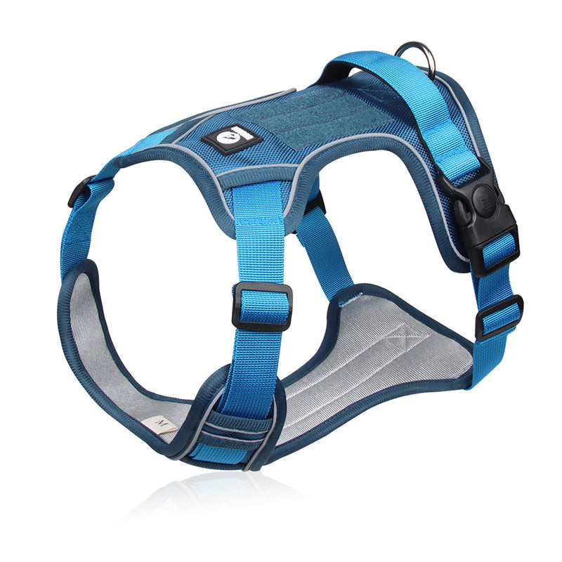 Hundegeschirr Set mit LED-Halsband – Anti-Zieh Design